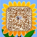 abcdreamusa联系微信二维码