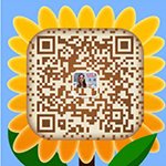 abcdreamusa-wechat