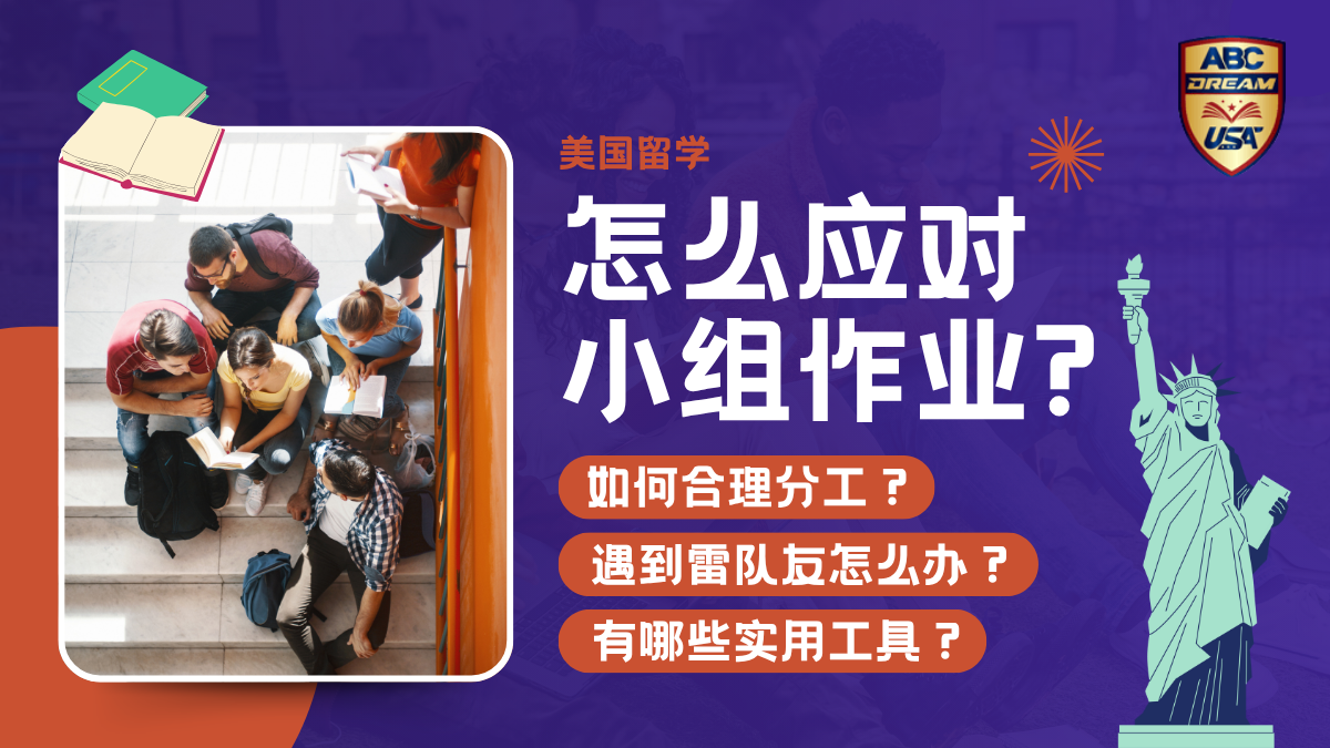美国小组作业